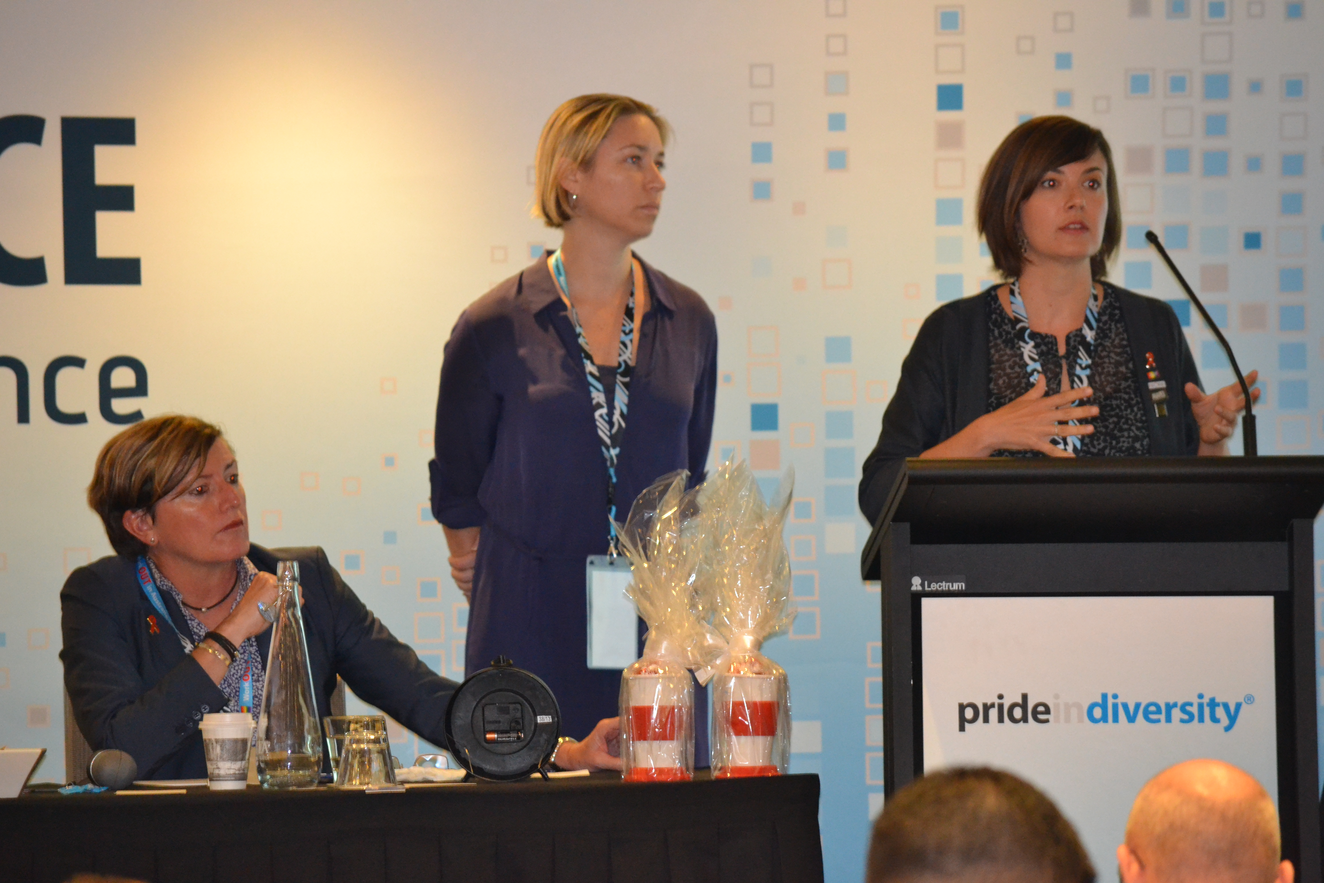 2015 Pride in Practice Gallery