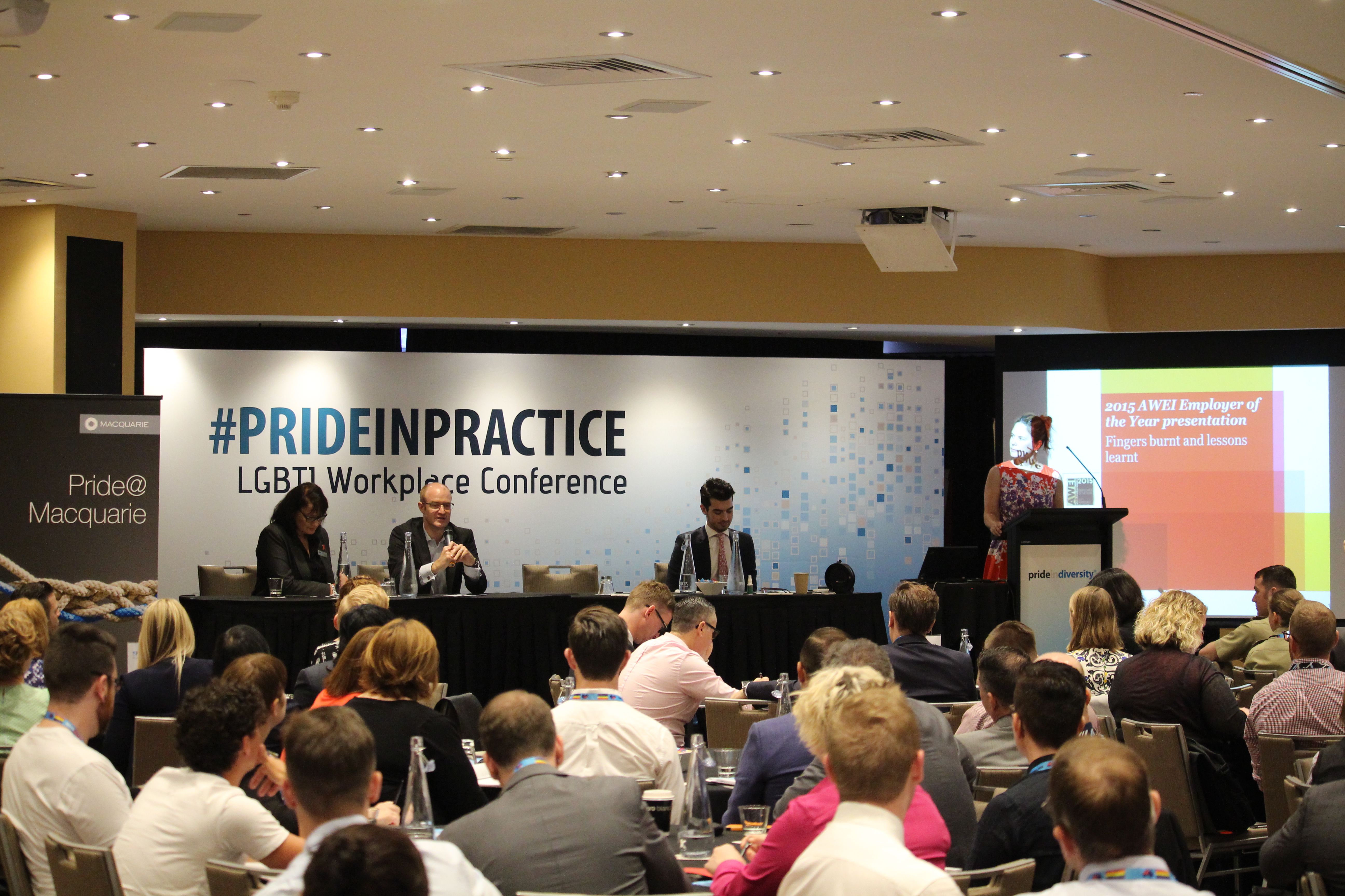 2015 Pride in Practice Gallery